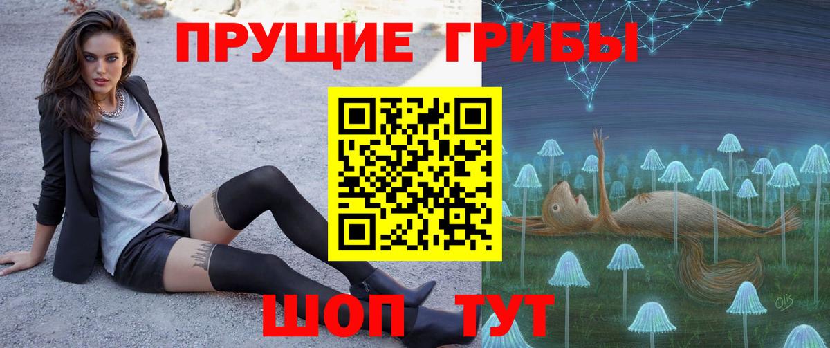 Псилоцибиновые грибы GOLDEN TEACHER  Галлюциногенные грибы мухоморы  Шахты  Вход с VPN 
